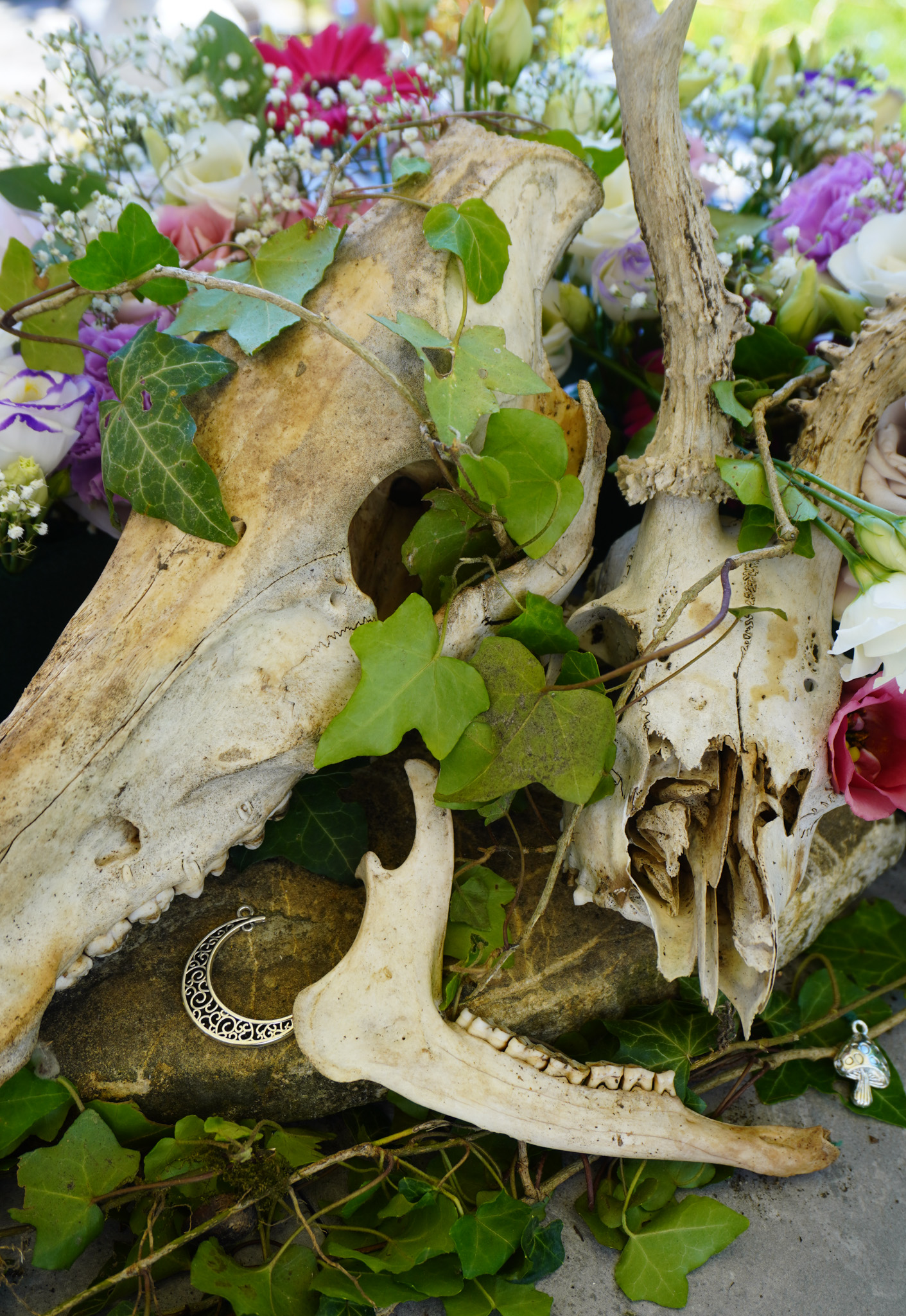 Skull4